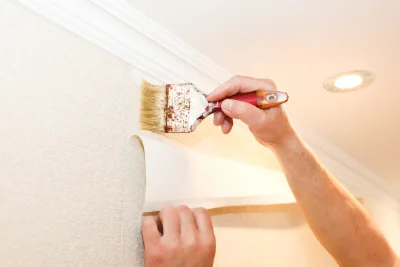 Pose de papier peint à Saint-Péreuse — revêtements muraux et toiles de verre